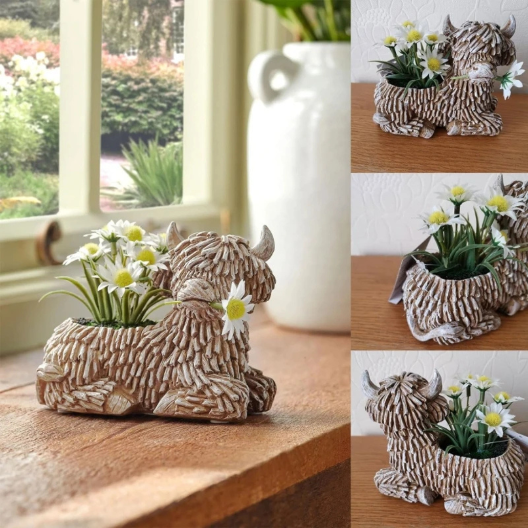 Highland Cow Flower Pot